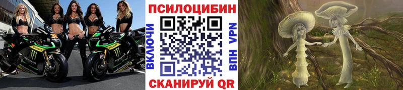 Галлюциногенные грибы Cubensis  как найти закладки  Приозерск 